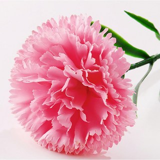 Ttabongoppa 人造花 簡約康乃馨 35cm JNH1379, 粉紅色