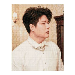 DIY CUBIC PAINTING Super Junior, 神童, 1套