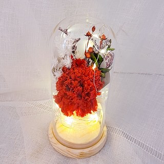 有花的風景 永生紅康乃馨LED玻璃罩 小款, 紅色(康乃馨), 隨機出貨(束口袋)