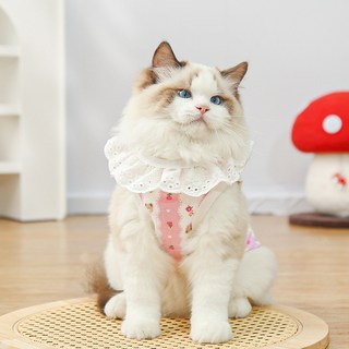 PASTEL PET 寵物蕾絲無袖T恤, 1個, 粉紅色