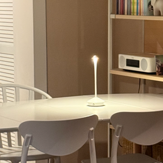 레나에너지 에이펙스 램프 단스탠드 3색 변경 LED 조명, 화이트