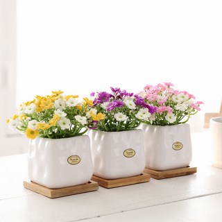 Happy Village 人造酢漿草盆栽組, 3組