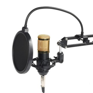 G-GOON 有線3.5mm電容式麥克風, VM-800