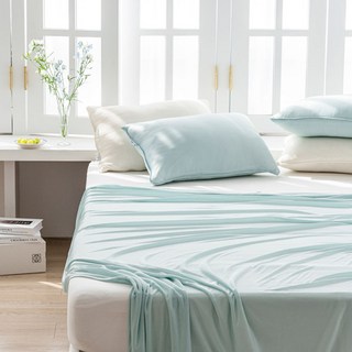 SHEZ HOME 涼感薄被 2入, 薄荷