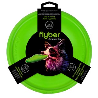 COLLAR 扣樂 雙面健身飛盤, 1個, 青草綠