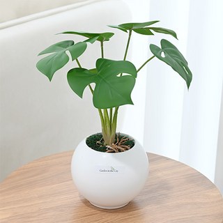 Garden in the City 現代圓形龜背芋人造裝飾品, 1個, 混合色