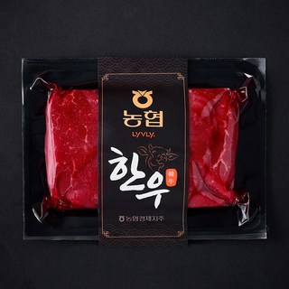 농협 한우 1등급 우둔 육전용 (냉장), 1개, 300g