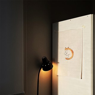 牆面裝飾掛布, 47.橘貓