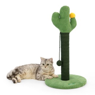 ZESPA Pikanori 寵物仙人掌貓抓板, 綠色, 1個
