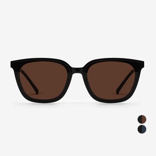 RIETI 中性款偏光平面太陽眼鏡 ALDO RT 2013