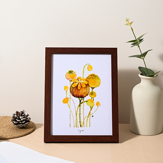 뎁시스 다양한 A4 나무 액자, 1개, 5