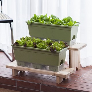 이즈리빙 내집에 텃밭 화분 15L, 그린, 2개