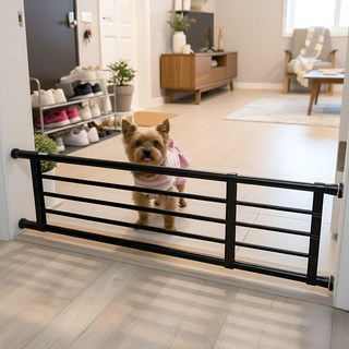 몽뜨리 강아지 압축형 울타리, 블랙, 1개