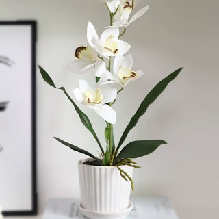 Souplace 人造蘭花植物盆栽組 S261-0190WFR, 白色, 1套