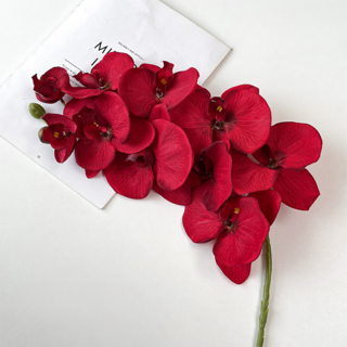 미소로운 조화 인테리어, 호접란 레드, 1개