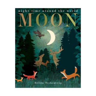 Moon, Little Tiger Press