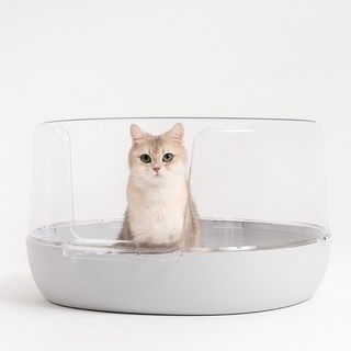 냥쌤 고양이 투명 화장실, 연그레이, 1개