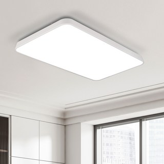 Melliving無頻閃LED燈系統 60W DC型客廳2燈, 白色 + 晝光色