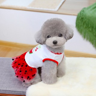 PASTEL PET 寵物水果圓點蕾絲洋裝, 紅色, 1個