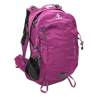 DIBOTE 迪伯特 極輕特仕版 專業登山休閒背包 附背架 + 防水套, 特仕玫