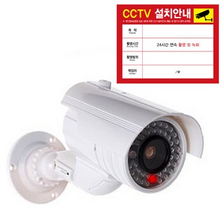 ZIOBIZ 固定式高級仿真CCTV + 安裝指南貼紙, 單一商品