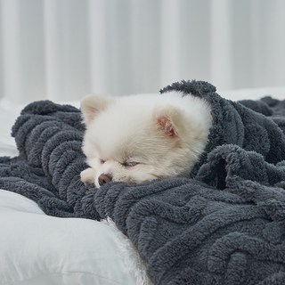 도그아이 반려동물 펫 꽈배기 담요, 다크그레이, 1개