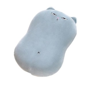 블루포그 고양이 분리형 수면 납작 베개커버