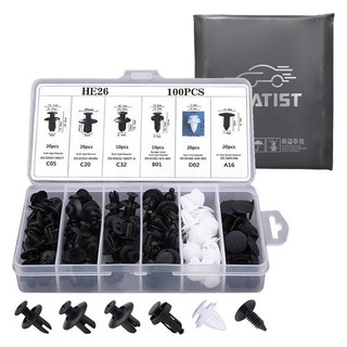 CHATIST 車用塑膠扣件鉚釘固定夾 100件組 + 收納盒, 1組, 混色