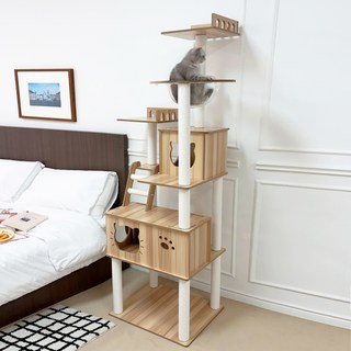 펫모닝 고양이 6단 미유앤코 하이클라이밍 타워, 베이지, 1개