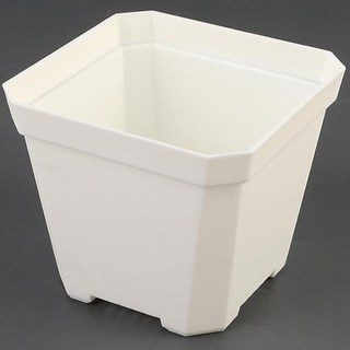 迷你彩色方形塑膠花盆, 10入, 白色