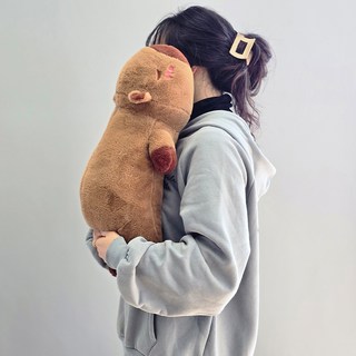 Dadaland 水豚身體抱枕娃娃 擁抱靠墊, 60cm, 1個, 棕色