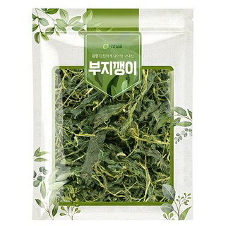 자연닮음 국내산 부지깽이 나물, 1개, 100g