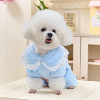 파스텔펫 반려동물 보들 빅카라 올인원, 블루, 1개