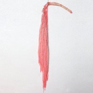 Sonio 永生花 柔軟長柳枝花束, 10 蜜桃粉