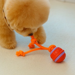 MAAH 반려동물 자동 새소리 나는 스마트 팻 볼 장난감 SCB-07, 오렌지, 1개