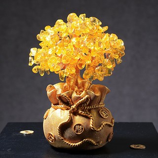 Ju and Ji 黃金搖錢樹, 金色