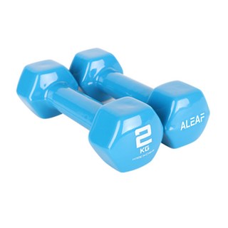 ALEAF PVC彩色六角啞鈴, 2kg, 2個