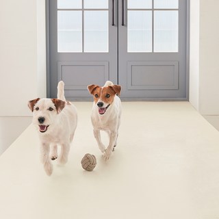 에코폼 강아지 미끄럼방지 롤 매트, 심플크림, 1개