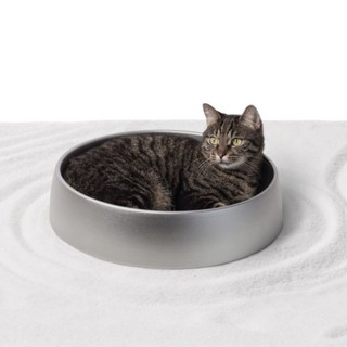 pidan 貓咪 Zen Garden 鋁製涼感碗, 金屬, 1個
