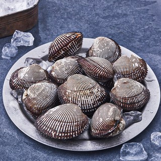 산지직송 부산 13번 중매인 피꼬막 (냉장), 500g, 1개