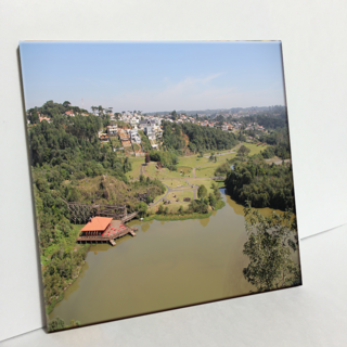 HTP 庫里奇巴照片磁磚 C43, 1個