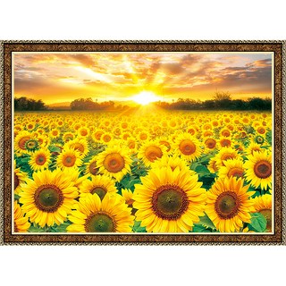 Toy&Puzzle 向日葵田 鑽石畫 畫框套組 PS-BS38-004, 混合色, 1套