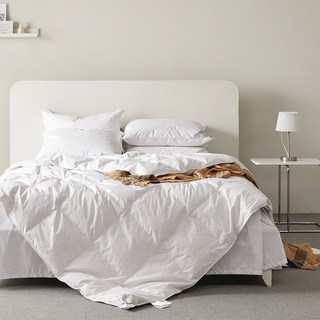 BOUNTIFUL 飯店級優質冬季鵝絨被 900g, 白色