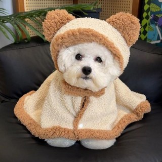 딩동펫 강아지 곰돌이 망토 담요, 베이지브라운, 1개