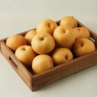 나주배원예농협 알뜰배, 1개, 5kg(13~17입)