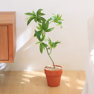 香港椰子人造樹盆栽, 綠色, 1個