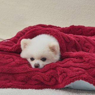 도그아이 반려동물 펫 꽈배기 담요, 버건디, 1개