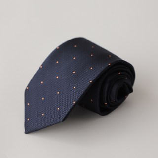 맙소샵 男士低調時尚高級領帶 BRP1173