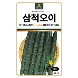 다농 씨앗애 삼척오이 씨앗 50p, 1개