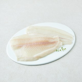 은하수산 국내산 광어 필렛, 1개, 550g
